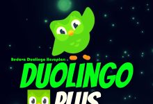 Bedava Duolingo Plus Hesapları